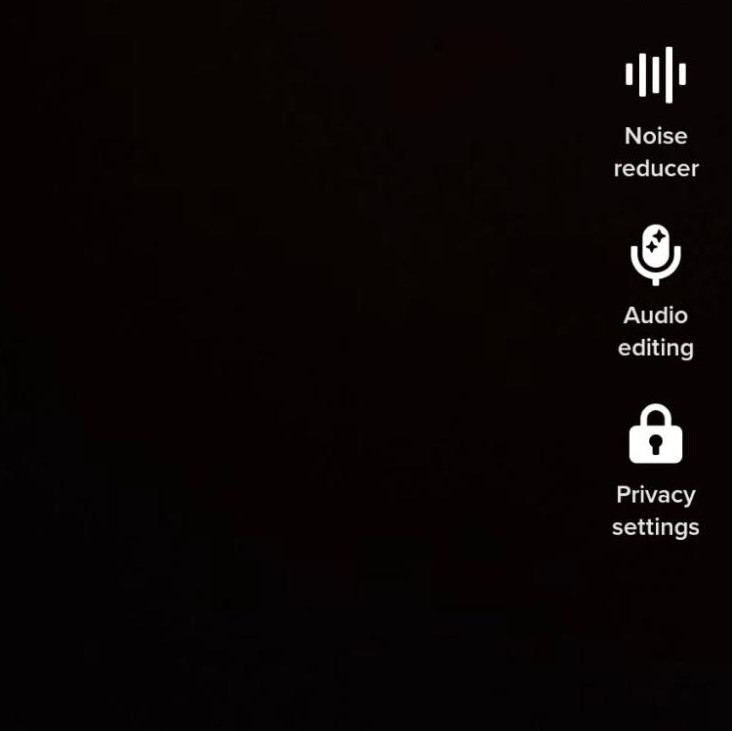 Audio Editing Icon - how to do a voiceover on TikTok